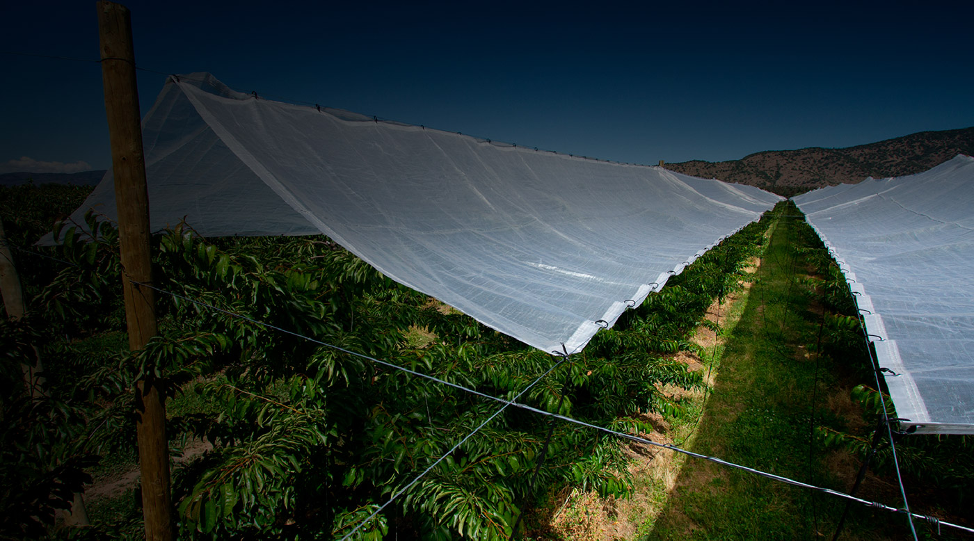 Banner Carpas Agricolas CORESA Banner Carpas Agricolas CORESA