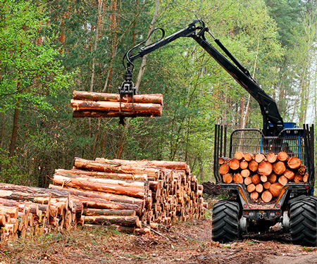 FORESTAL CORESA