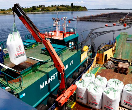 Maxisacos pesca CORESA